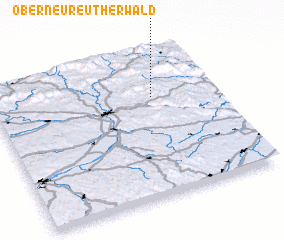 3d view of Oberneureutherwald