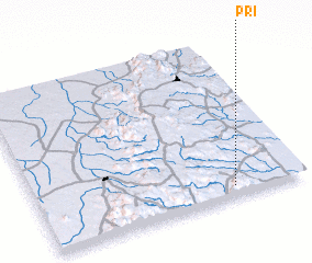 3d view of Pri