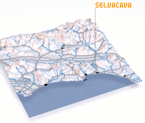 3d view of Selvacava