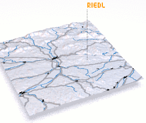 3d view of Riedl