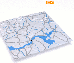 3d view of Boka