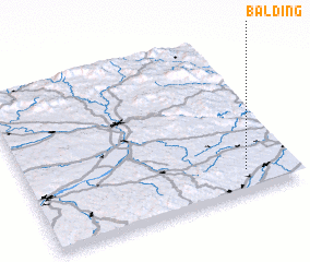 3d view of Balding