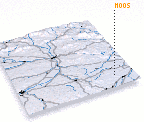 3d view of Moos