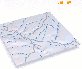 3d view of Youkoy