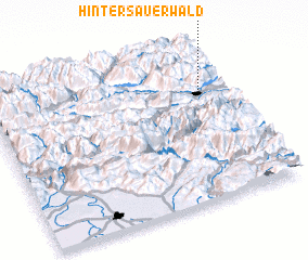 3d view of Hintersauerwald