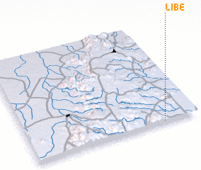 3d view of Libé