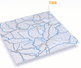 3d view of Tiko