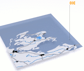 3d view of Oie