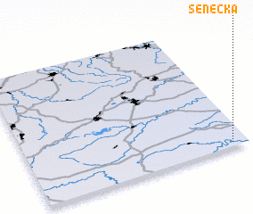 3d view of Senecká