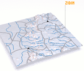 3d view of Zidim