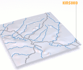 3d view of Kinsoko