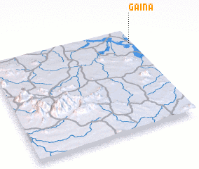 3d view of Gaina