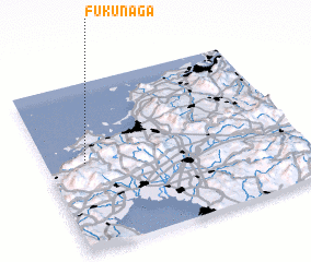 3d view of Fukunaga