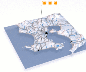 3d view of Nakahai