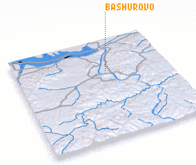 3d view of Bashurovo