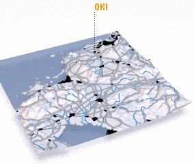 3d view of Oki