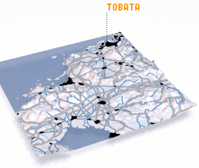 3d view of Tobata