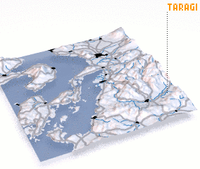 3d view of Taragi