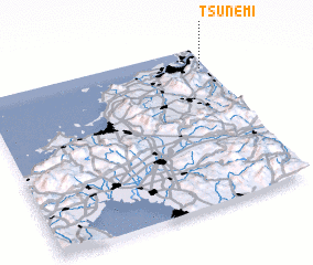 3d view of Tsunemi