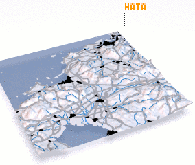 3d view of Hata