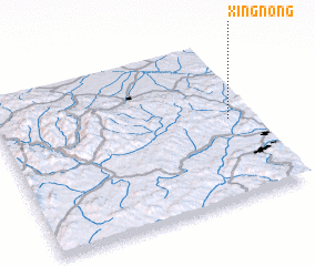 3d view of Xingnong