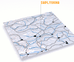 3d view of Saplyukha