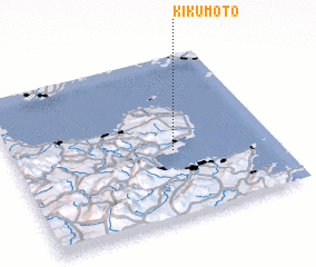 3d view of Kikumoto