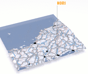 3d view of Hori