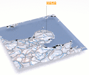 3d view of Hama