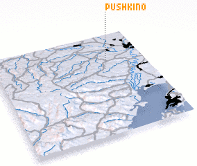 3d view of Pushkino