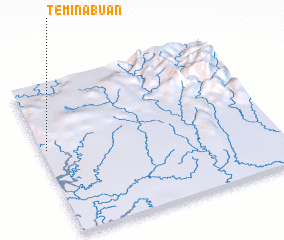 3d view of Teminabuan