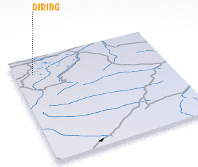 3d view of Diring