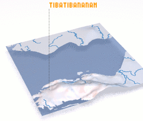 3d view of Tibatibananam