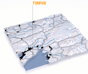 3d view of Timpur
