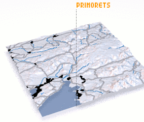 3d view of Primorets