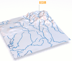 3d view of Usim