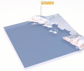 3d view of Ginaru