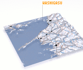 3d view of Washigasu