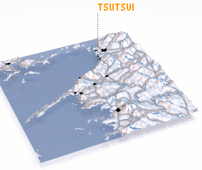 3d view of Tsutsui