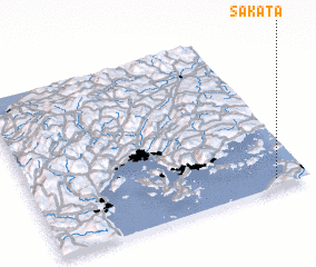 3d view of Sakata