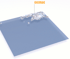3d view of Okimae
