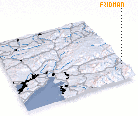 3d view of Fridman