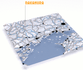 3d view of Nakamura