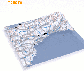 3d view of Takata