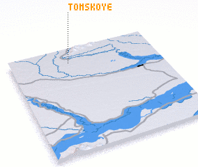 3d view of Tomskoye