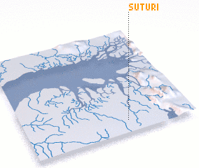 3d view of Suturi