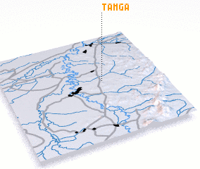 3d view of Tamga