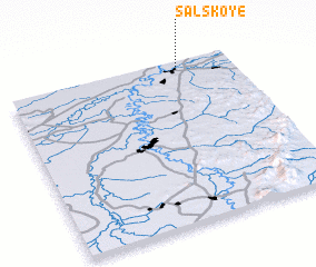 3d view of Sal\