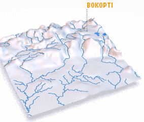 3d view of Bokopti