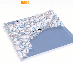 3d view of Irino